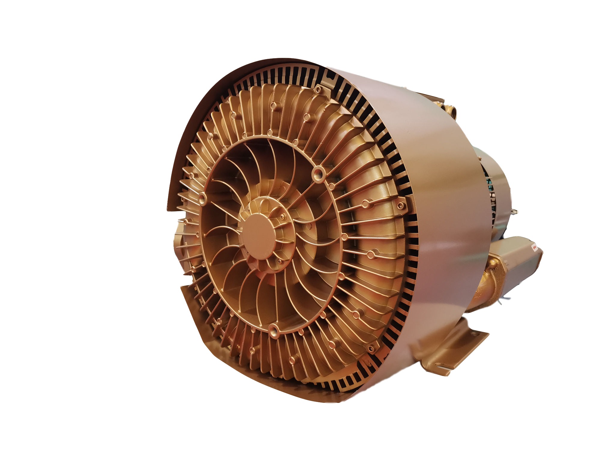 Double Impeller Best Quality Side Channel Blower for Medical Equipment